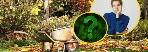 Осінь в саду