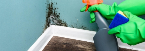 Необязательно тратиться на химию для уборки