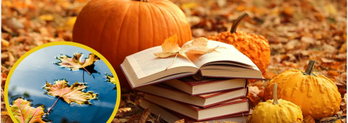 В этом году стоит шикарная осень