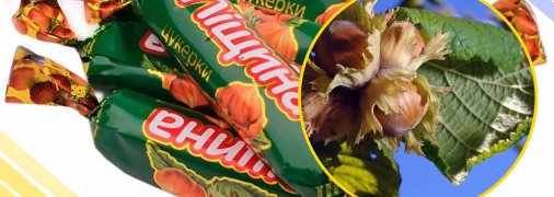 Ілюстративне фото