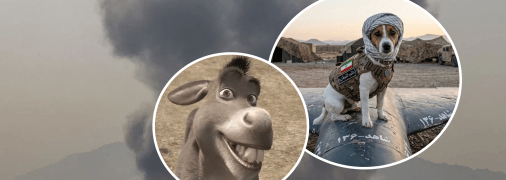 Взрыв, ишак из "Шрека" и пес