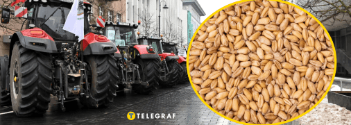 Вони підтримують дипломатичне вирішення питання