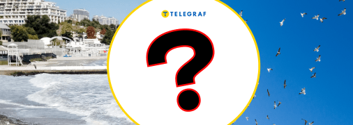 Птицы в Одесской области