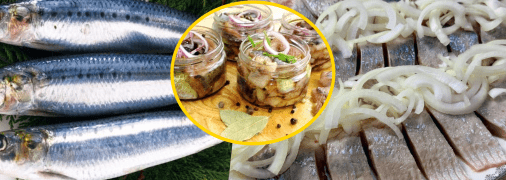 Маринованная сельдь