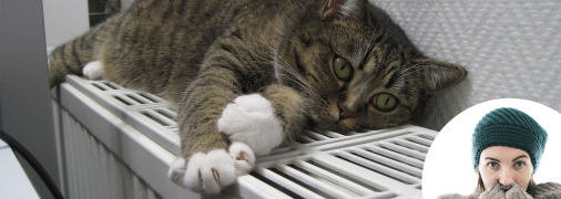 На Львів насувається сильне похолодання, у місті вживають екстрених заходів