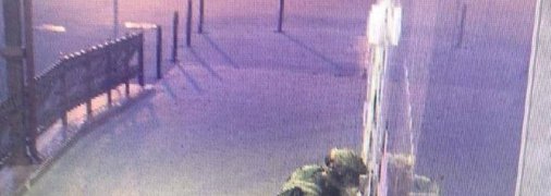 Преступник скрылся в неизвестном направлении