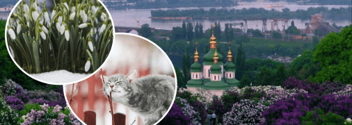 Киев, кот и Киев весной