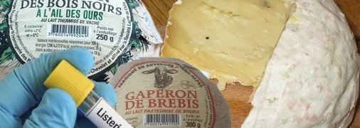 Нові деталі скандалу: що сталося з французьким сиром, який привезли до Києва зі смертельно небезпечною бактерією