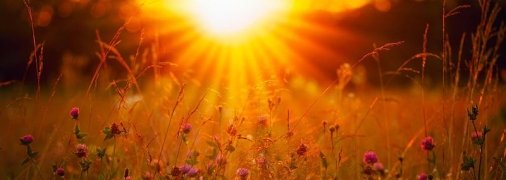 Погода в Украине: где сохранится жара и какие регионы накроет грозовой фронт