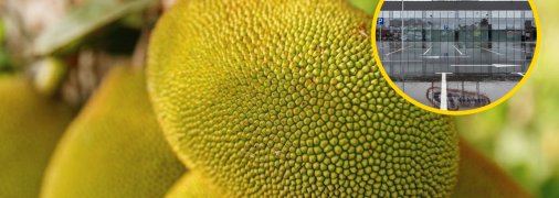 Иллюстративное изображение