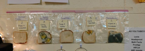 Эксперимент школьной учительницы: почему нужно мыть руки с мылом