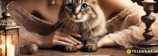 Сделали расклад Таро для каждого знака Зодиака на 2025 год