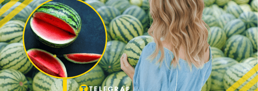 Як вибирати кавун