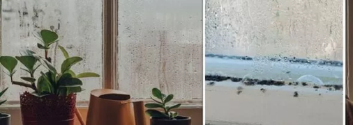 Конденсат на вікнах - поширена проблема