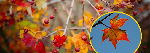 Не забываем про зонтик