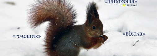 А вы знаете, что такое "папороша", "голощик" или "совзениця" в украинском языке?