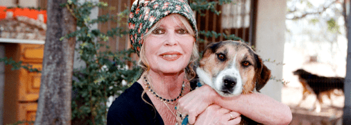 Бріжіт Бардо