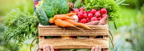 В каких весенних овощах больше всего нитратов?