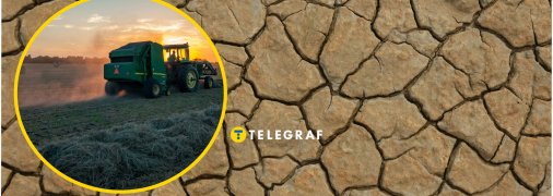 Ґрунт в Україні страждає від сильної посухи