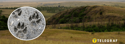 Коллаж, "Телеграф"