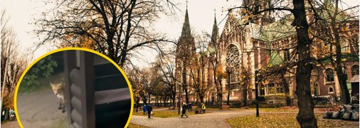 Осенний Львов