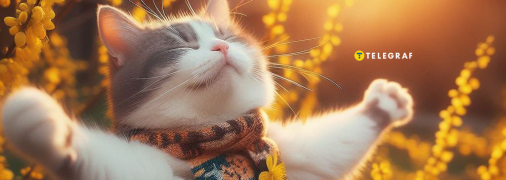 Тепло идет во Львов