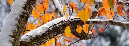 Погода в Украине