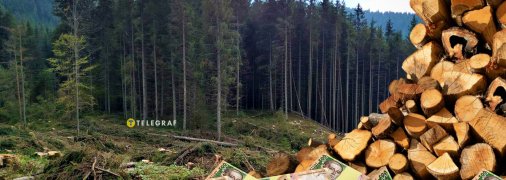 Коллаж "Телеграфа"