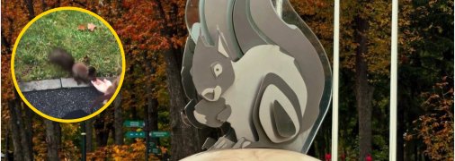 Городской парк в Харькове