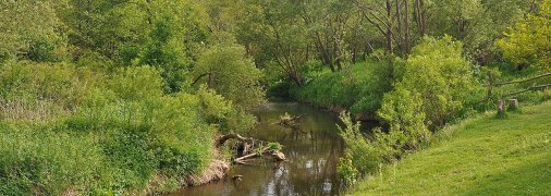 Мальовничі береги річки Бережниця