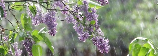 В Україну прямує холодний антициклон