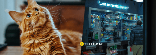 Кумедний кіт у магазині розвеселив мережу