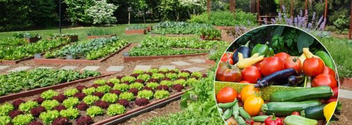 Посевной календарь на апрель 2022