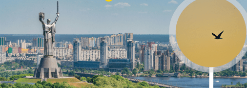 Цей птах уміє пристосовуватися до "бетонних джунглів"