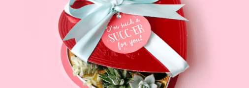 20 идей, что подарить маме на День Валентина 2021