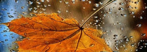 Синоптики прогнозируют лишь небольшие осадки