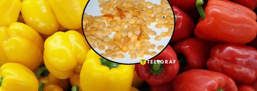 Лучший ранний болгарский перец