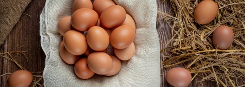 Як вибрати хороші яйця
