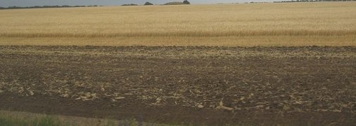 Украинской земле предрекли серьезный рост в цене: озвучены цифры