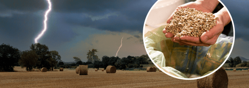 Грози з грімом і блискавками тривали кілька днів