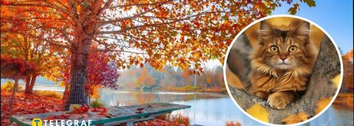 Погода осенью