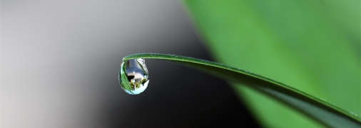 Психологический тест по картинке