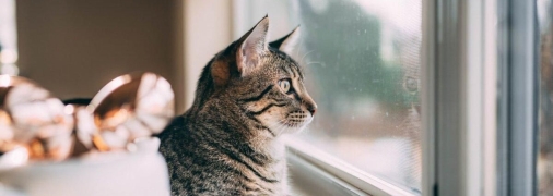 Фактично, цей метод уже вами перевірений