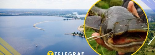 Ілюстративне фото