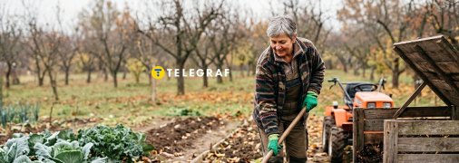 Дуже важливо восени підготувати ділянку до зими