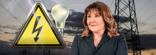 Стабильной ситуацию в энергосистеме назвать сложно, отмечает Виктория Гриб