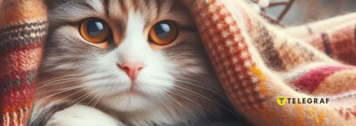 Начало мая несет похолодание в Украину