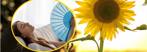 Коллаж, "Телеграф"