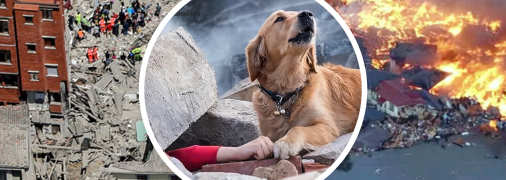 Землетрясения