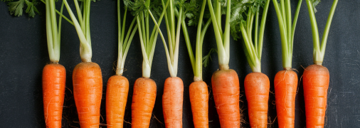 Морковь нуждается в правильном уходе (изображение создано с помощью ИИ)